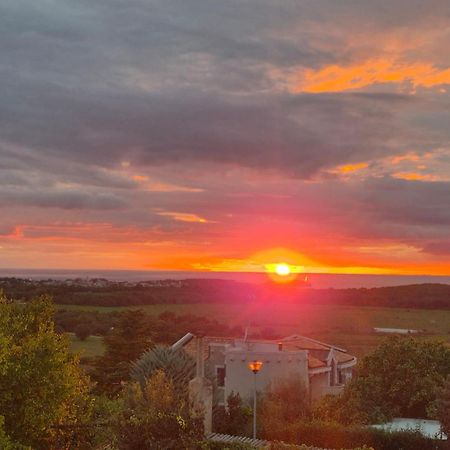 Apartman Dobrec Poreč Buitenkant foto